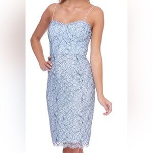 Elegant Lace Floral Dress in Light Blue